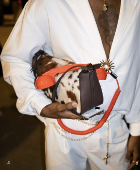 Preview: Native Union Alarm Red Rot POP Phone – USB-C Retro Telefonhörer für Smartphone, Laptop & Table